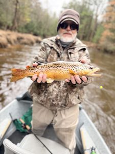 Brown trout caught on the fly fishing on the Pere Marquette 