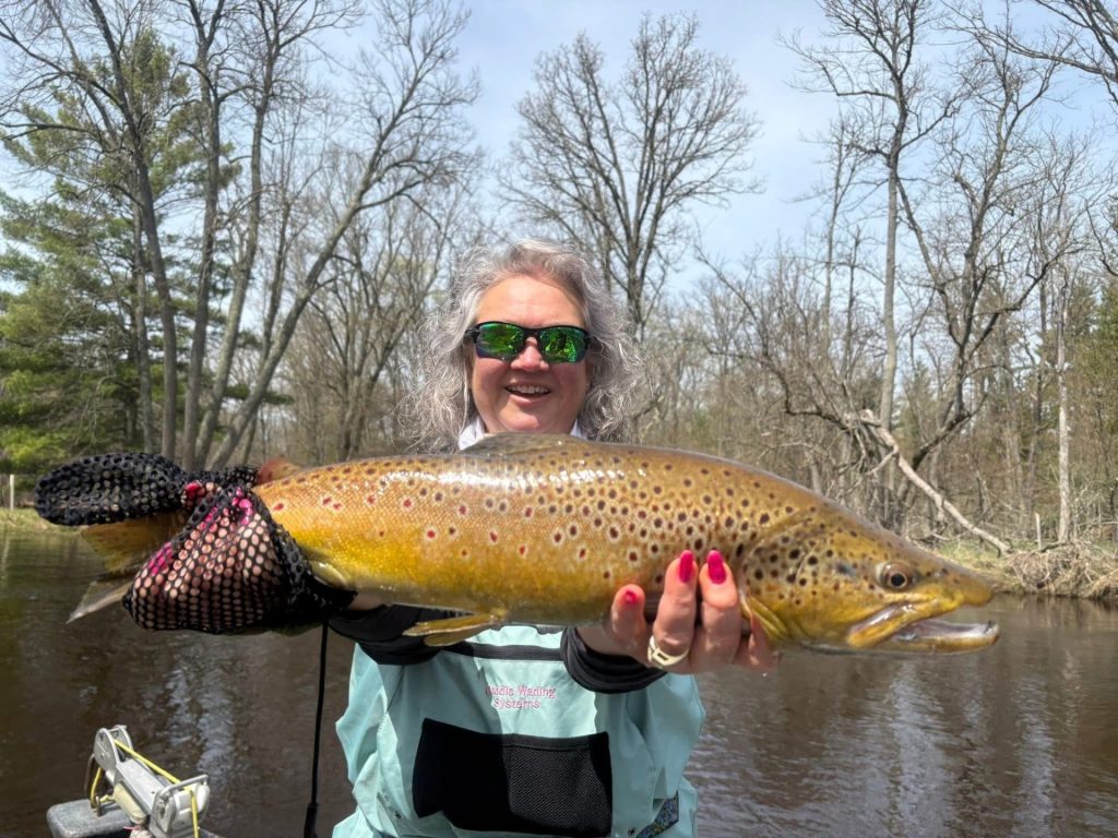 Brown trout caught on guided fishing trip