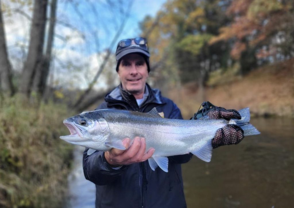 michigan steelhead caught on the Pere Marquette river in Baldwin Michigan with Northern Rivers Outfitters