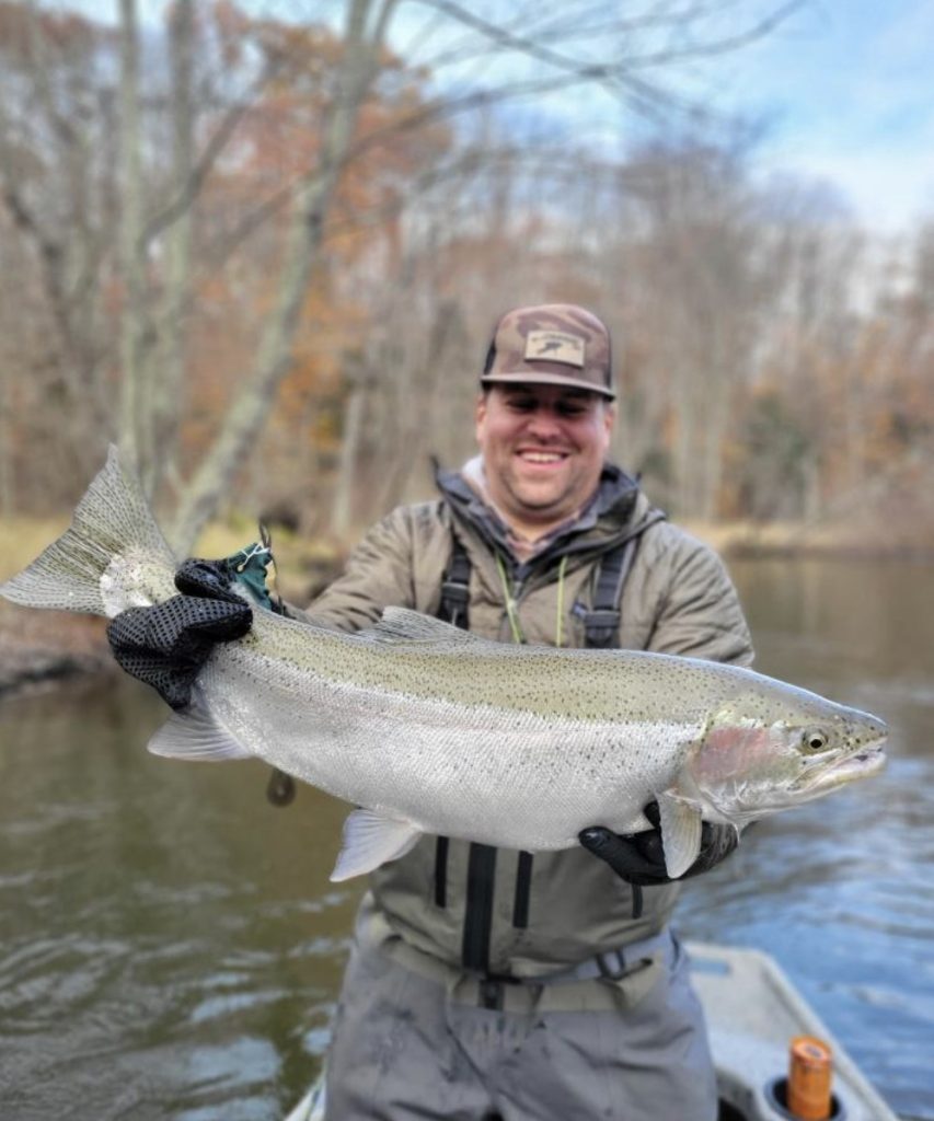 big chrome fall steelhead